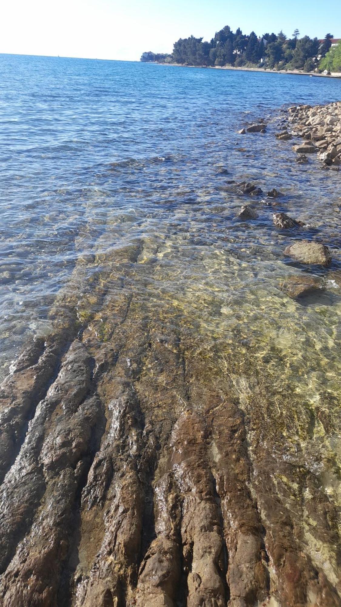 Jazine1 Lejlighed Zadar Eksteriør billede