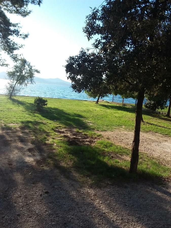 Jazine1 Lejlighed Zadar Eksteriør billede